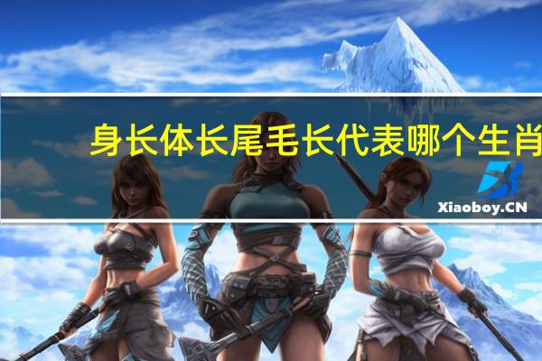 身长体长尾毛长代表哪个生肖（身长体长尾毛长是指什么生肖）