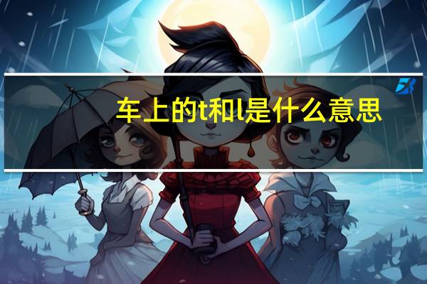 车上的t和l是什么意思