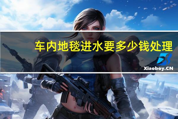车内地毯进水要多少钱处理(汽车地毯进水怎么处理要多少钱?)