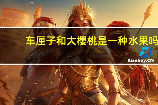 车厘子和大樱桃是一种水果吗
