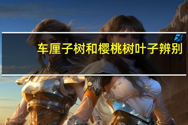 车厘子树和樱桃树叶子辨别