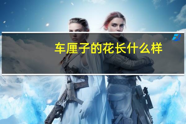 车厘子的花长什么样