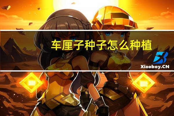 车厘子种子怎么种植