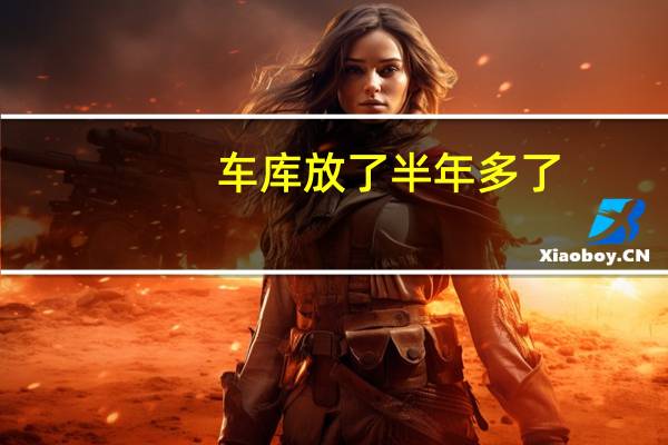 车库放了半年多了，目前行驶五万多公里，如何保养