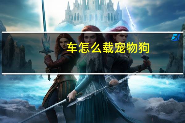 车怎么载宠物狗