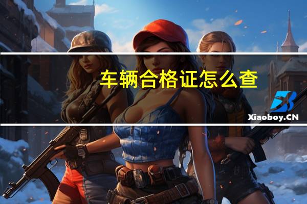 车辆合格证怎么查