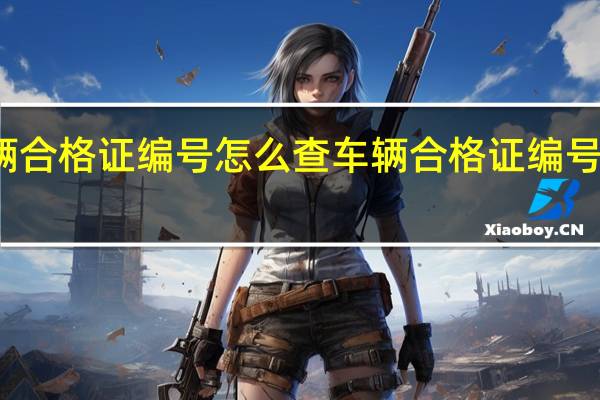 车辆合格证编号怎么查 车辆合格证编号怎么查询