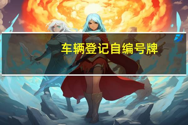车辆登记自编号牌（小型汽车网上自主编号申请）