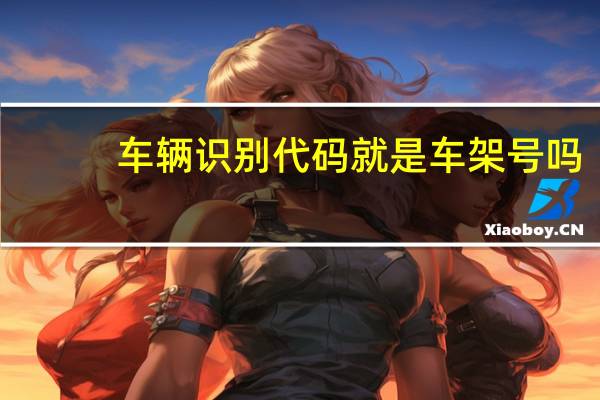 车辆识别代码就是车架号吗（车架号是不是车辆识别代码）