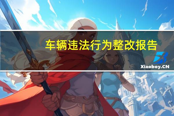 车辆违法行为整改报告（车辆违法行为）