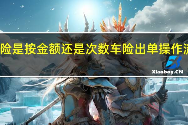 车险出险是按金额还是次数 车险出单操作流程是怎样的