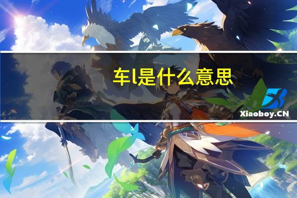 车l是什么意思