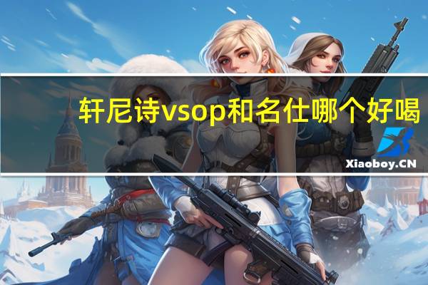 轩尼诗vsop和名仕哪个好喝