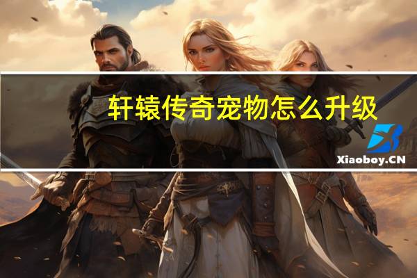 轩辕传奇宠物怎么升级