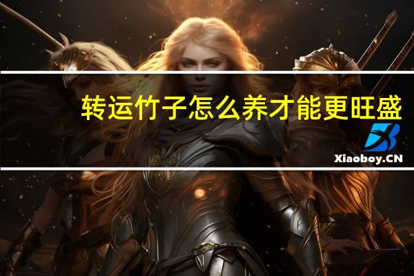 转运竹子怎么养才能更旺盛