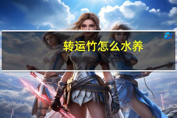 转运竹怎么水养（转运邦）