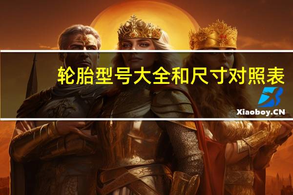 轮胎型号大全和尺寸对照表(轮胎型号大全)