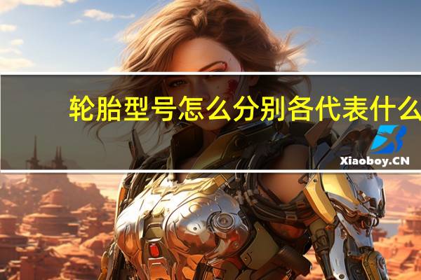 轮胎型号怎么分别各代表什么(轮胎型号)