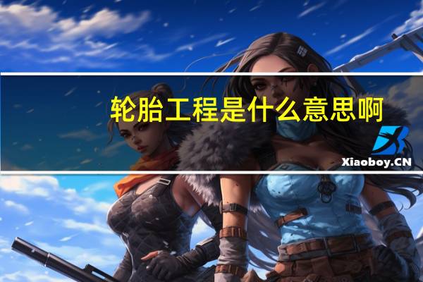 轮胎工程是什么意思啊