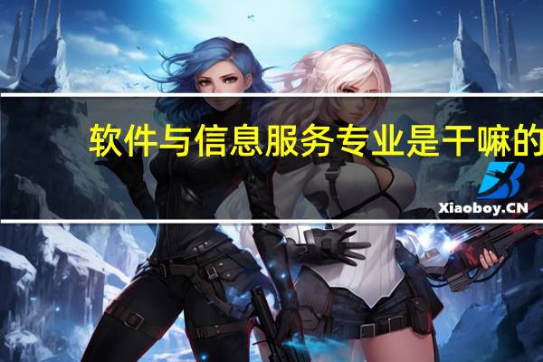 软件与信息服务专业是干嘛的