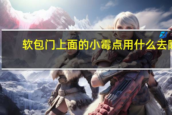 软包门上面的小霉点用什么去除