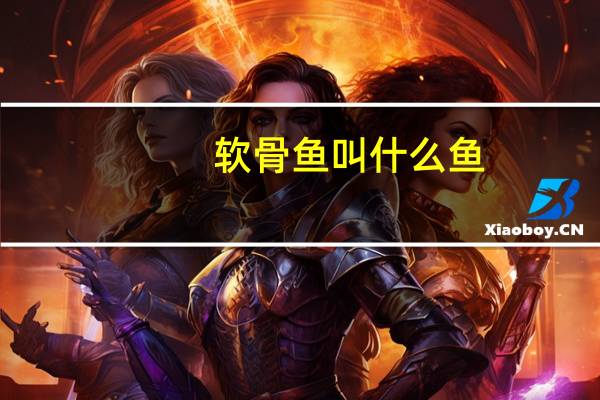 软骨鱼叫什么鱼（软骨鱼）