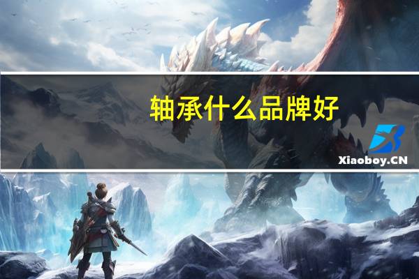轴承什么品牌好
