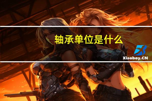轴承单位是什么