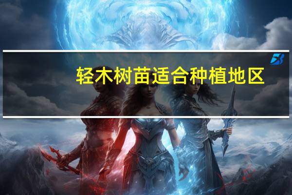 轻木树苗适合种植地区