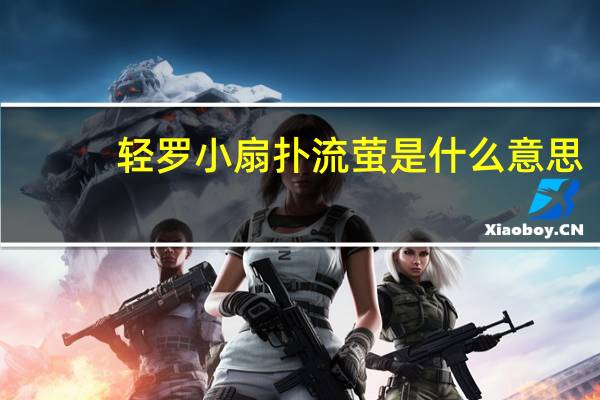 轻罗小扇扑流萤是什么意思
