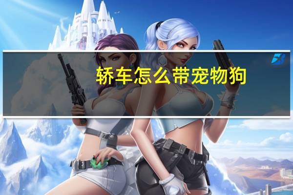 轿车怎么带宠物狗