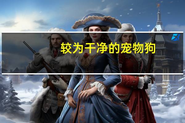 较为干净的宠物狗