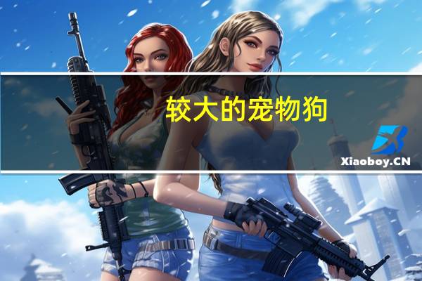 较大的宠物狗