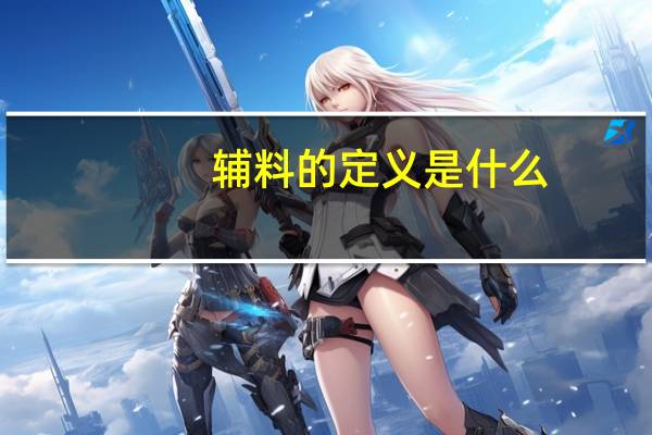 辅料的定义是什么（辅料的定义）