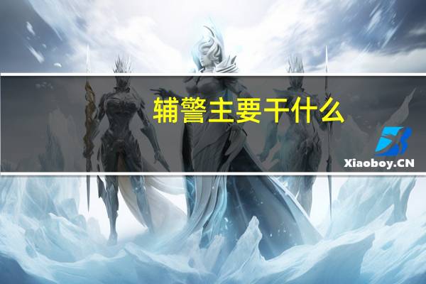 辅警主要干什么