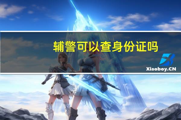 辅警可以查身份证吗