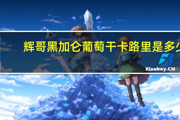 辉哥 黑加仑葡萄干卡路里是多少