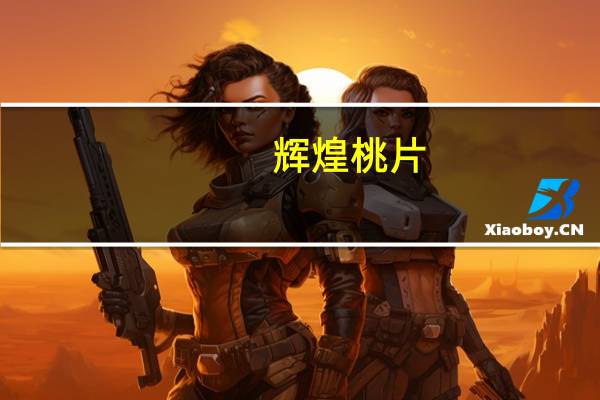 辉煌 桃片(八珍味)卡路里是多少