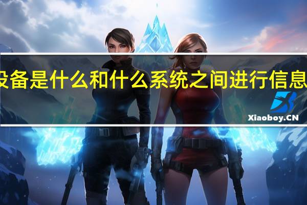 输入设备是什么和什么系统之间进行信息交互的装置