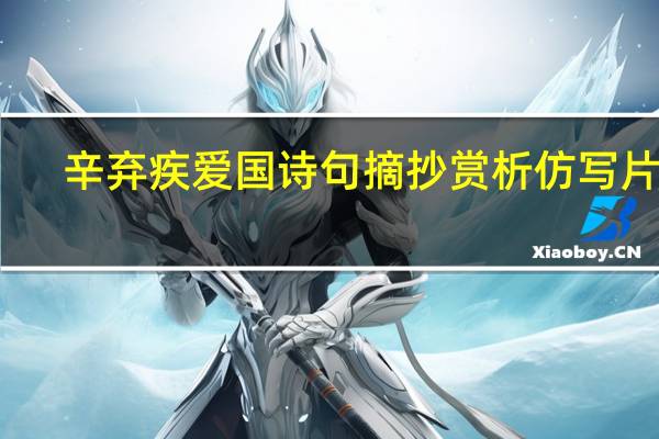 辛弃疾爱国诗句摘抄赏析仿写片段