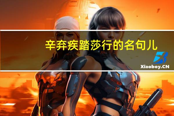 辛弃疾 踏莎行的名句儿