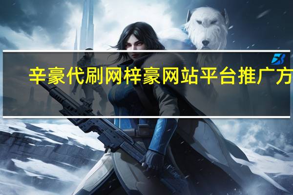 辛豪代刷网 梓豪网站平台推广方式(辛梓豪是谁)