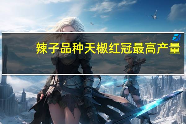 辣子品种天椒红冠最高产量