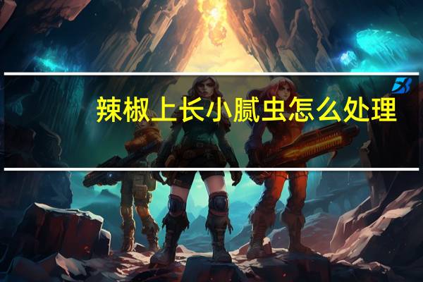 辣椒上长小腻虫怎么处理