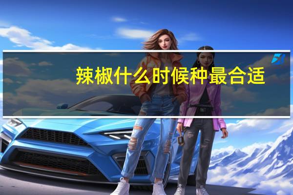 辣椒什么时候种最合适