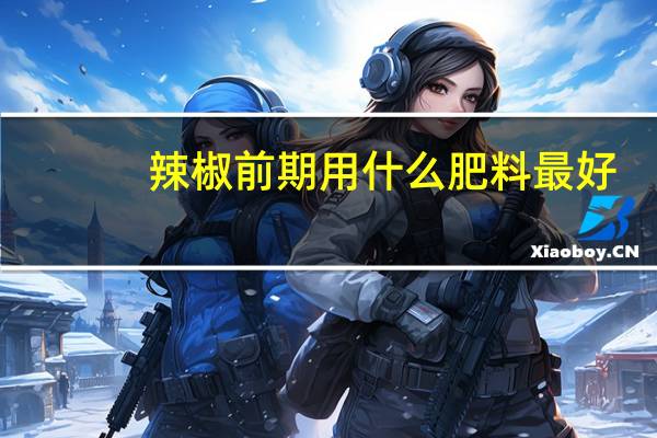 辣椒前期用什么肥料最好