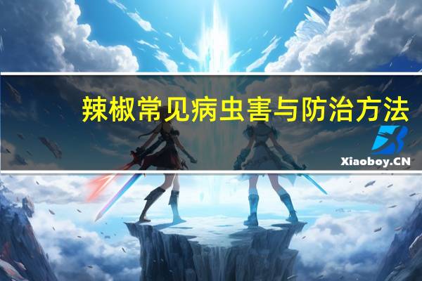 辣椒常见病虫害与防治方法