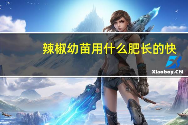 辣椒幼苗用什么肥长的快