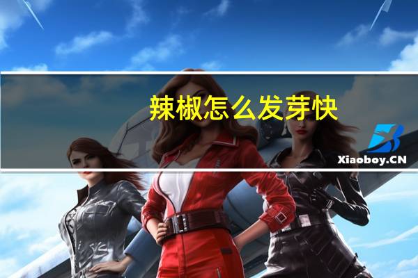 辣椒怎么发芽快