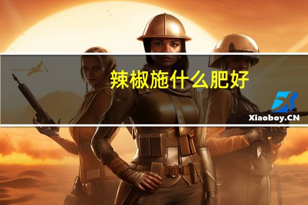 辣椒施什么肥好